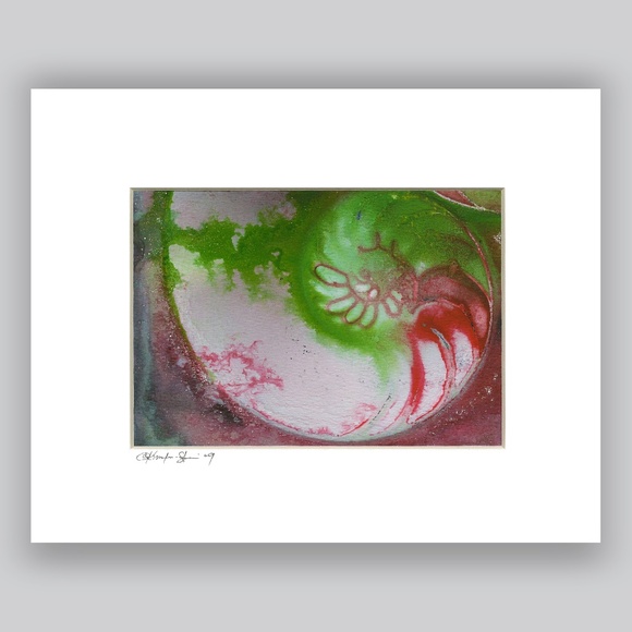 Original Nautilus Shell Watercolor Painting in Acid Free mat Nautilus Shell 930 - Picture 2 of 3
